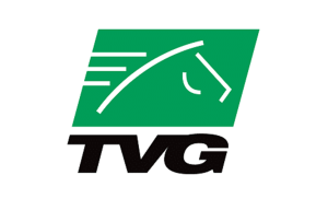 Обзор казино TVG